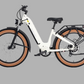 Used Big Sur Fat Tire E-Bike