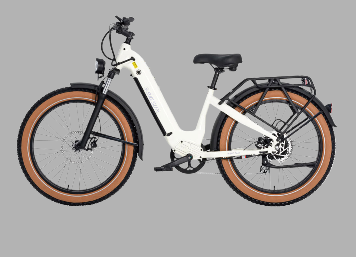 Used Big Sur Fat Tire E-Bike