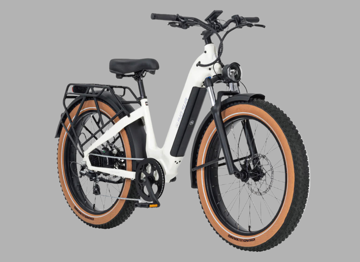 Used Big Sur Fat Tire E-Bike